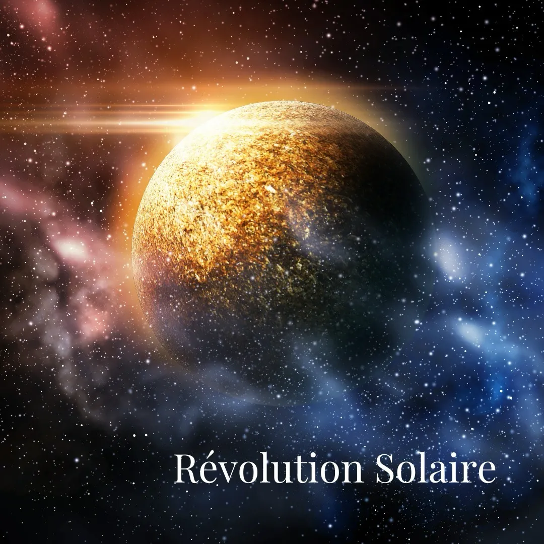 Virginie Petitjean, image illustrant la lecture revolution solaire