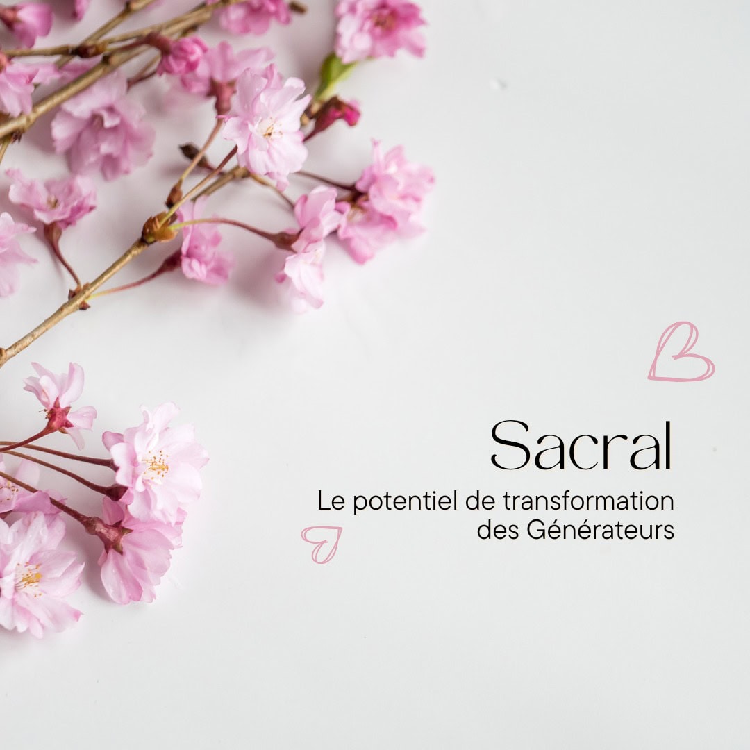 Visuel illustrant le programme "Sacral" avec des branches de fleurs roses sur un fond blanc épuré. Le texte "Sacral - Le potentiel de transformation des Générateurs" est accompagné de petits cœurs roses, évoquant douceur, harmonie et croissance personnelle.