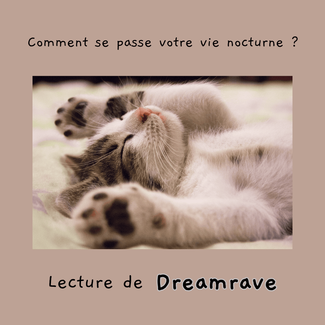 Illustration d'un chat qui dort pour annoncer une lecture design humain sur le sommeil