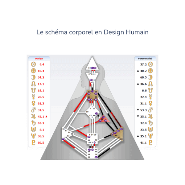 schéma corporel de design humain