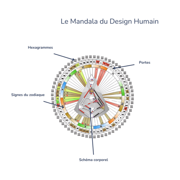 Illustration du calcul du design humain, représentant le mandala du design humain avec les détails des différentes informations : portes, hexagrammes, signes du zodiaque