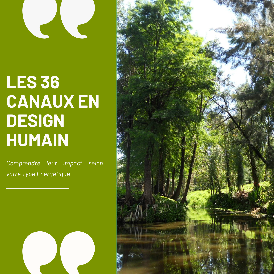 Les 36 canaux en Design Humain – Illustration d’un article expliquant leur impact selon le type énergétique. Découvrez comment ces connexions influencent la communication, la manifestation et l’alignement intérieur.