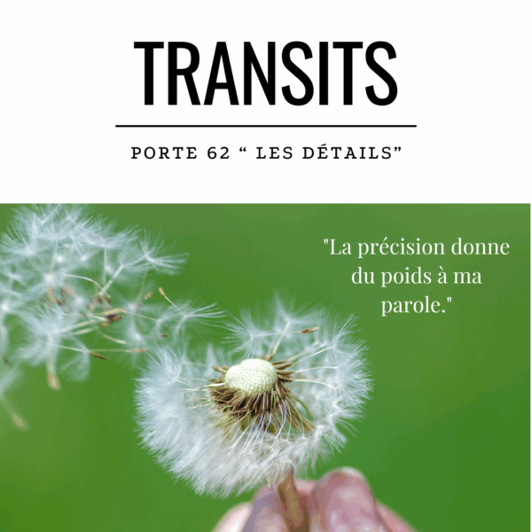 Gros plan d’un pissenlit partiellement soufflé sur fond vert vif, symbolisant la dispersion ou la mise en forme des détails — en lien avec la Porte 62 du Design Humain, archétype de la structuration logique et de la parole précise.