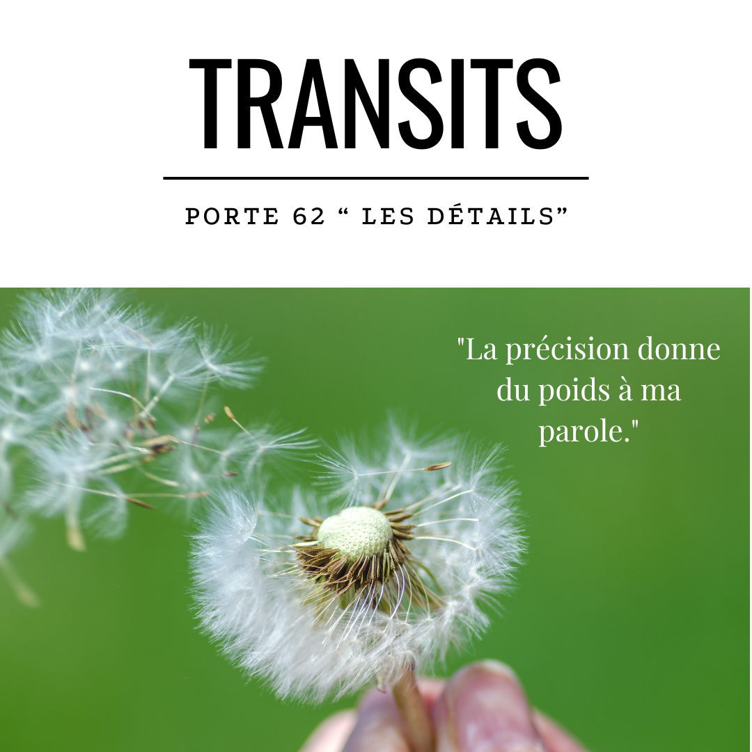 Gros plan d’un pissenlit partiellement soufflé sur fond vert vif, symbolisant la dispersion ou la mise en forme des détails — en lien avec la Porte 62 du Design Humain, archétype de la structuration logique et de la parole précise.