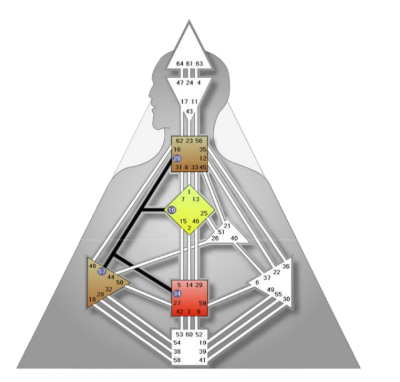 Schéma corporel en Design Humain présentant les centres du soi (centre splénique marron, centre du moi/ego rouge et centre d’identité jaune) reliés par un unique circuit énergétique actif, les autres centres et canaux étant inactivés (en gris).