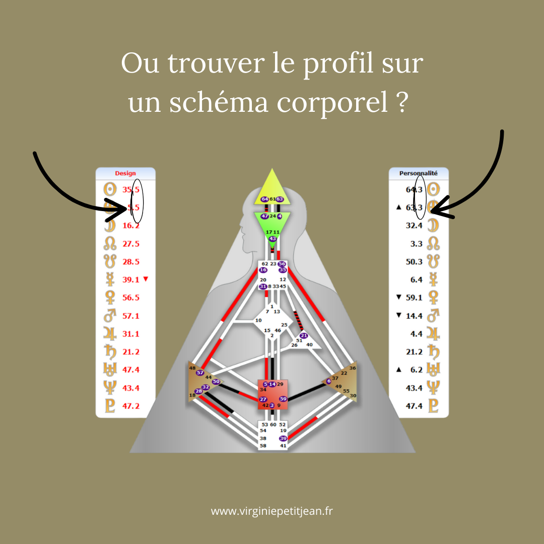 Schéma corporel de Design Humain montrant comment localiser le profil 6/3 dans les colonnes Design et Personnalité avec flèches explicatives
