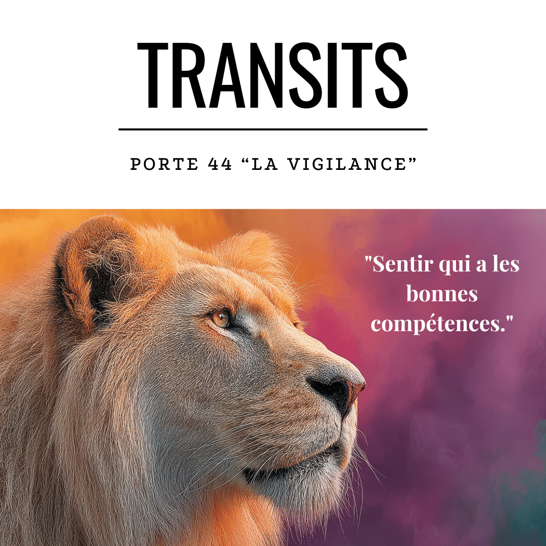 Transit solaire porte 44 la vigilance - lionne au regard perçant et attentif avec citation sur reconnaissance des compétences