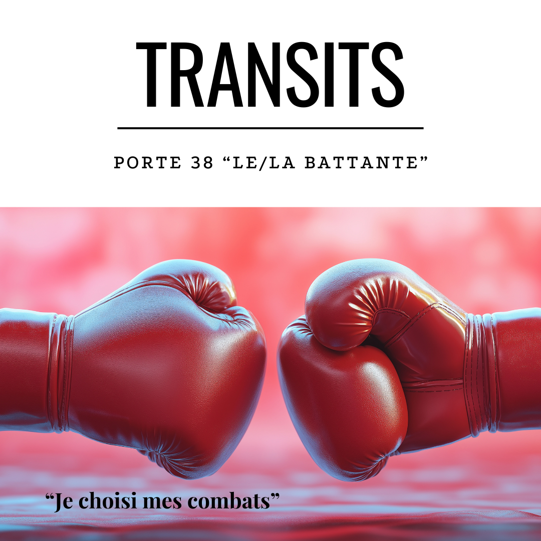Deux gants de boxe rouges face à face sur fond rose - Transit porte 38 Design Humain le/la battant(e)