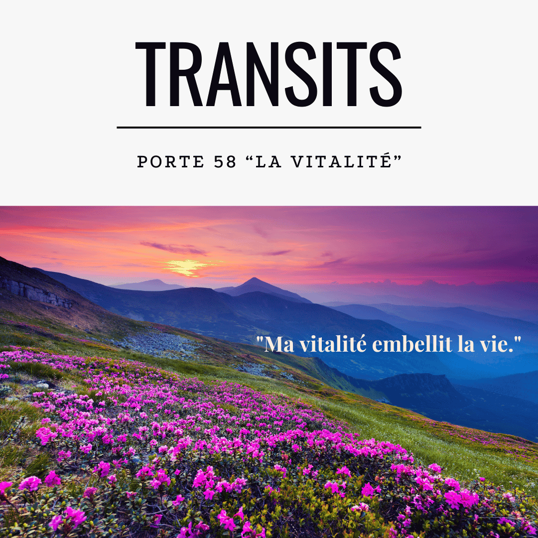Paysage de montagne au coucher de soleil avec champ de fleurs roses vibrantes - Transit porte 58 Design Humain la vitalité