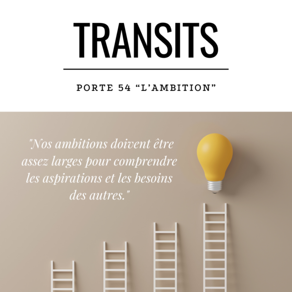 Échelles de différentes hauteurs menant à une ampoule jaune lumineuse - Transit porte 54 Design Humain l'ambition