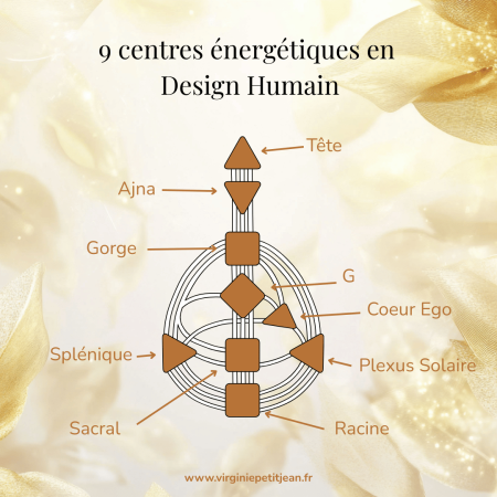 Schéma du Bodygraph montrant les 9 centres énergétiques en Design Humain : Tête, Ajna, Gorge, G, Cœur Ego, Plexus Solaire, Splénique, Sacral et Racine