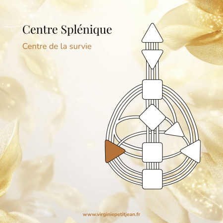 Centre Splénique en Design Humain - triangle représentant l'intuition, la survie et la santé instinctive