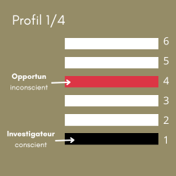 Diagramme des lignes du profil 1/4 en Design Humain montrant la ligne 1 Investigateur (conscient) en noir et la ligne 4 Opportuniste (inconscient) en rouge
