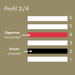 Diagramme des lignes du profil 2/4 en Design Humain montrant la ligne 2 Ermite (conscient) en noir et la ligne 4 Opportuniste (inconscient) en rouge