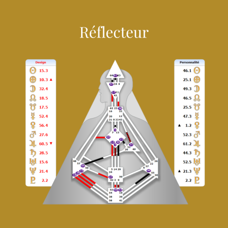 9 centres blancs du type Réflecteur en design humain par Virginie petitjean Schéma corporel (bodygraph) d'un Réflecteur en Design Humain montrant une silhouette triangulaire avec tous les centres énergétiques ouverts (non colorés), accompagné de deux colonnes latérales indiquant les positions planétaires du Design et de la Personnalité.