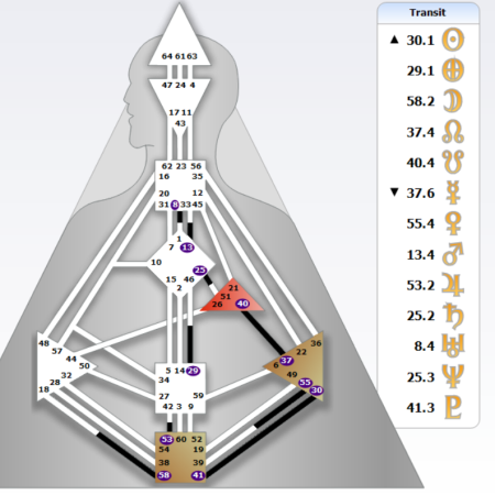 transits-13-fevrier-2026-design-humain-par-virginie-petitjean