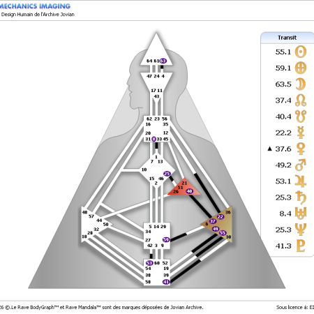 transits-18-fevrier-2026-design-humain-par-virginie-petitjean1.